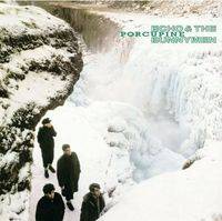 Echo And The Bunnymen : Porcupine